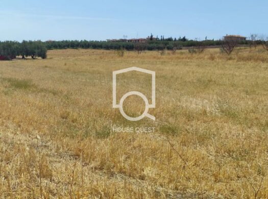 Αγροτεμάχιο Προς πώληση (Άγιος Μάμας)