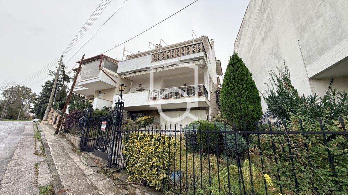εικόνα βίντεο