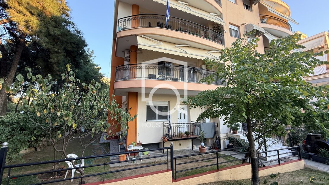 εικόνα βίντεο