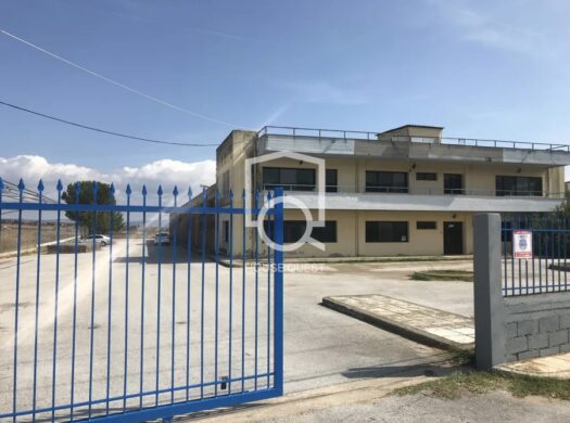 Βιομηχανικός Χώρος Προς πώληση (Δρυμός)