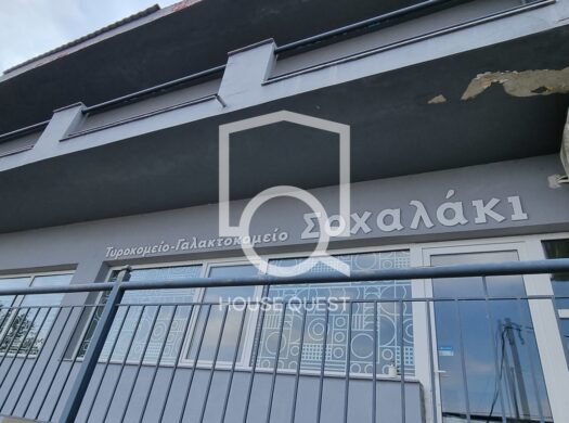 Βιομηχανικός Χώρος Προς πώληση (Λητή)