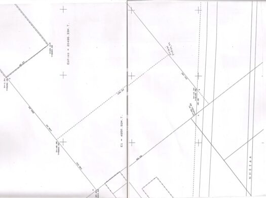 Αγροτεμάχιο Προς πώληση (Διαβατά)