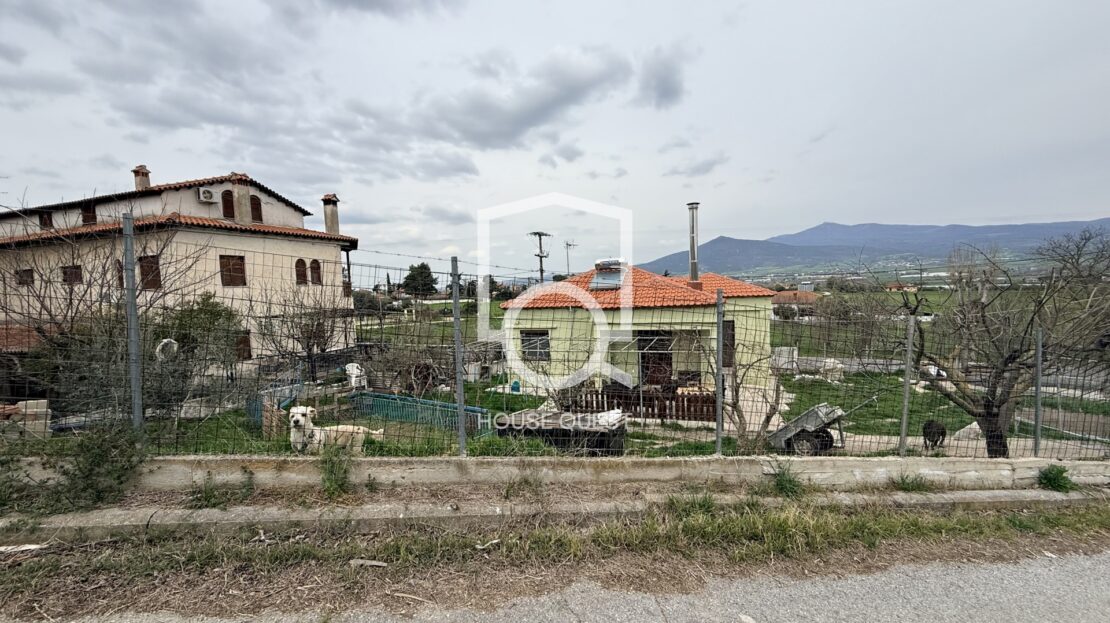 εικόνα βίντεο