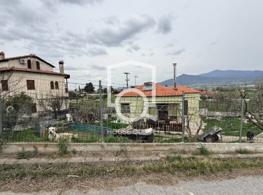 Μονοκατοικία Προς πώληση (Σουρωτή)