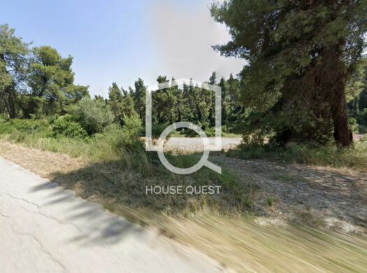 Αγροτεμάχιο Προς πώληση (Ελάνη)