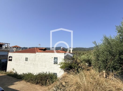 Οικόπεδο Προς πώληση (Σάρτη)
