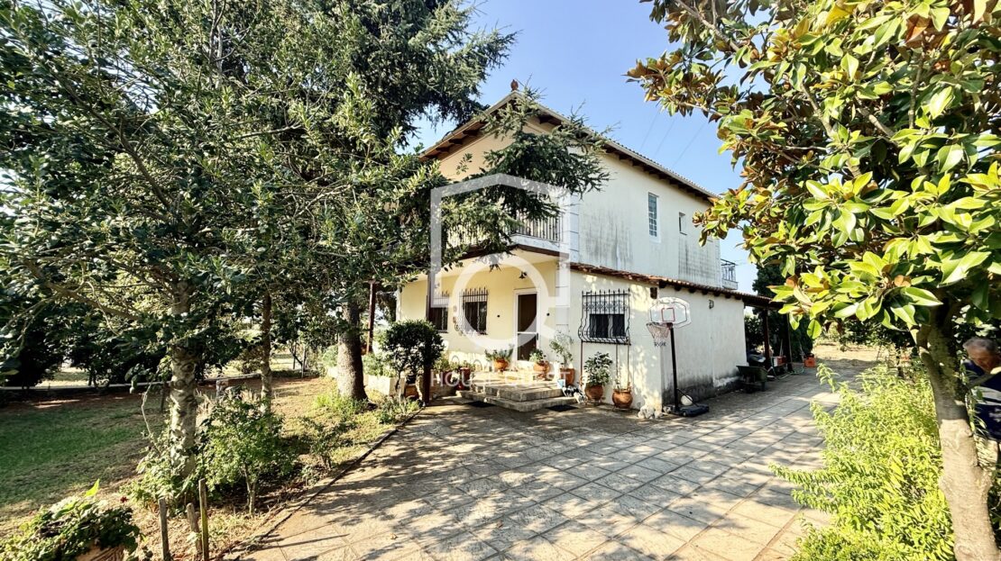 εικόνα βίντεο