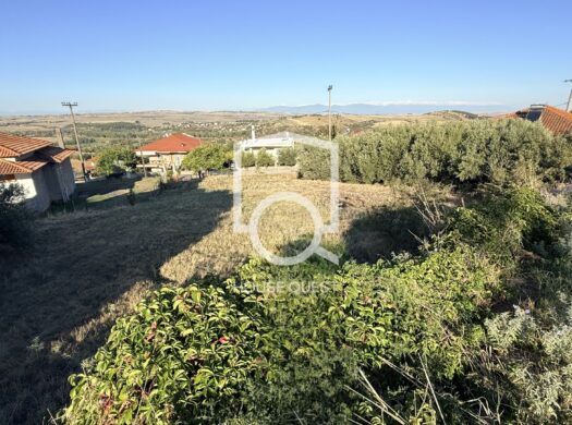 Οικόπεδο Προς πώληση (Μεσαίο)