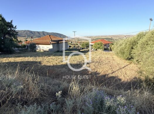 Οικόπεδο Προς πώληση (Μεσαίο)