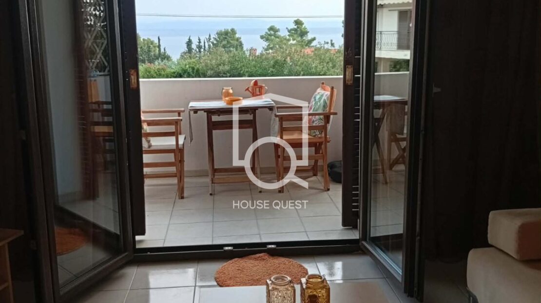 εικόνα βίντεο