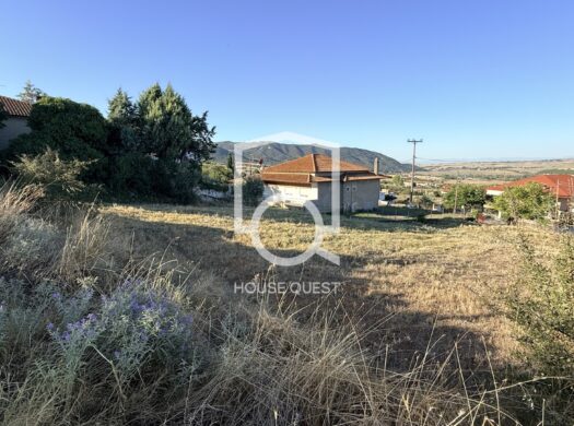 Οικόπεδο Προς πώληση (Μεσαίο)