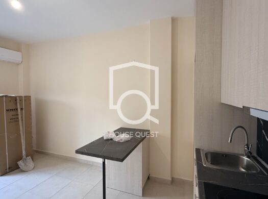 Studio/Γκαρσονιέρα Προς ενοικίαση (Τριανδρία)
