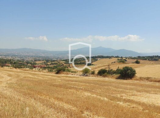 Αγροτεμάχιο Προς πώληση (Τρίλοφο)